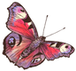 Flora and Fable Art - Home