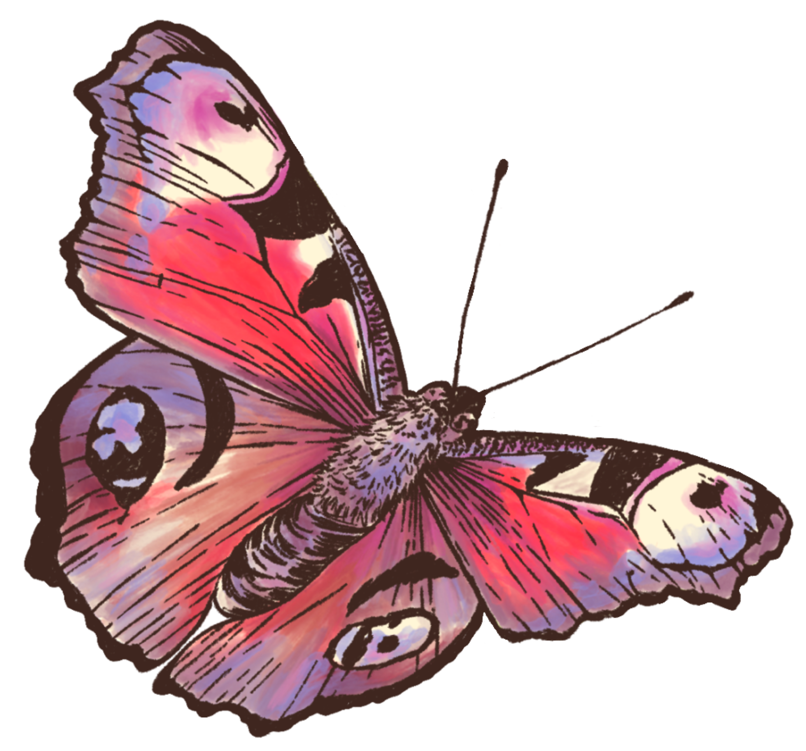 Flora and Fable Art