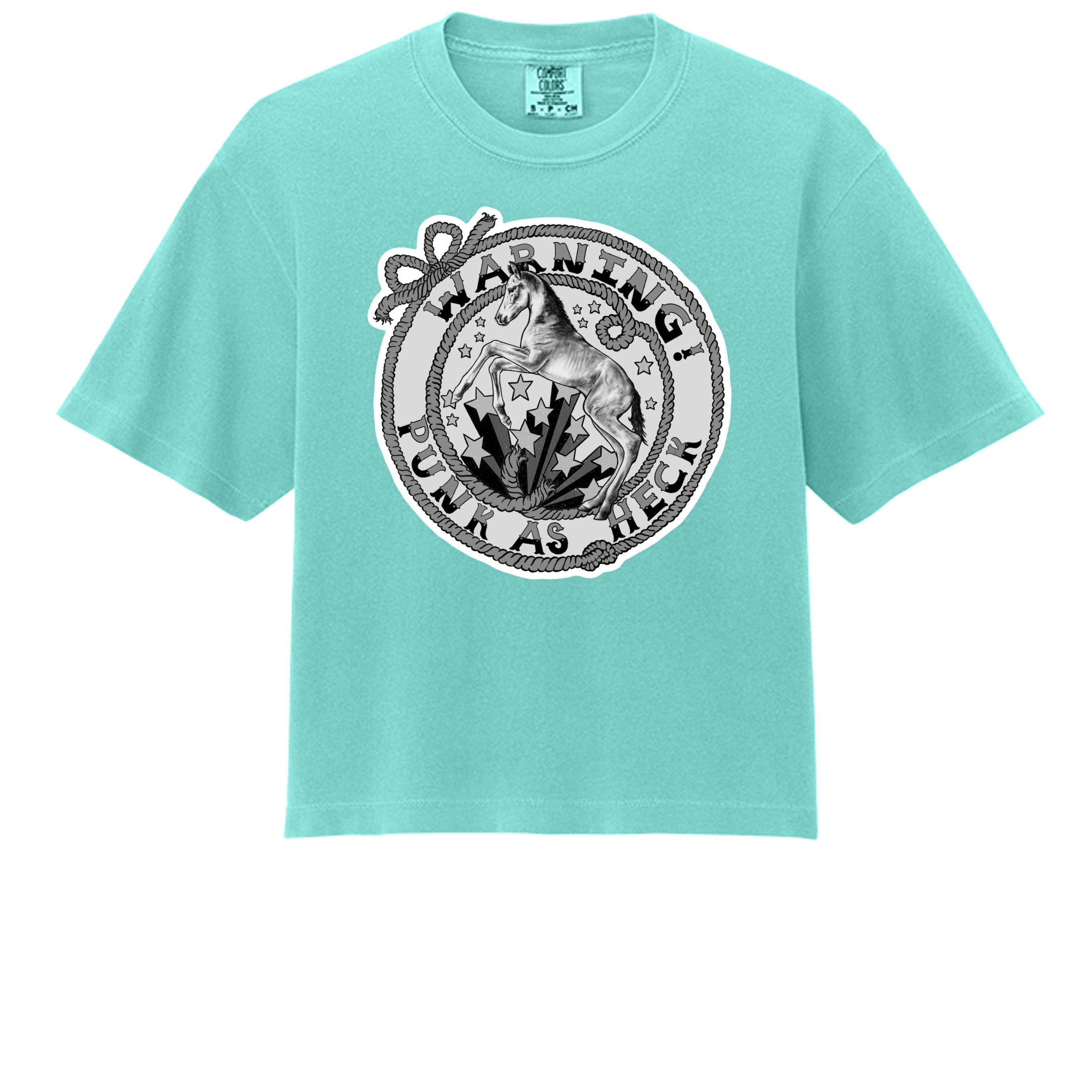Chalky Mint - 3023CL - FRONT